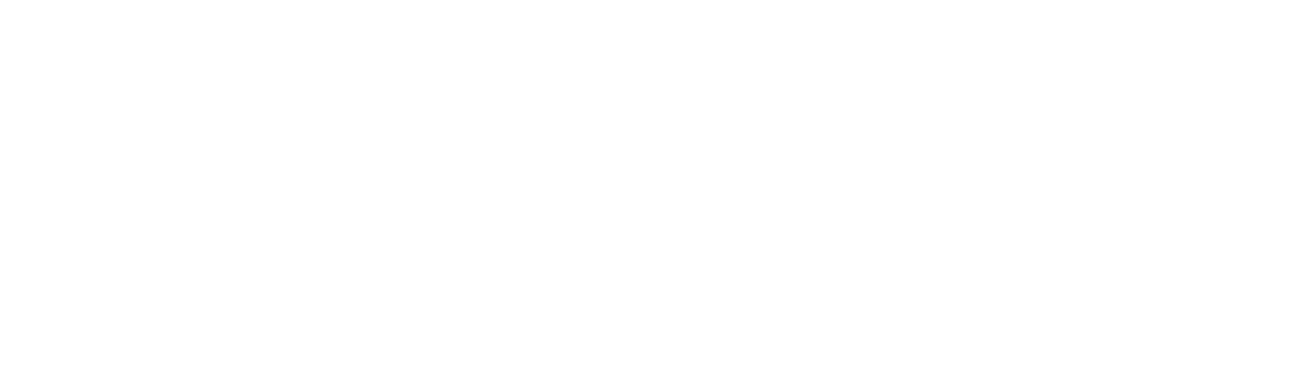 Noor Water Filter